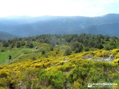 Lagunas de Pelañara-Peña Cítores- Guadarrama; senderismo organizado;excursiones cerca de madrid